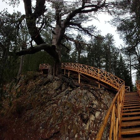 500М. От Лифта Сладък Дом В Белведере Спа Комплекс Bansko Exterior photo
