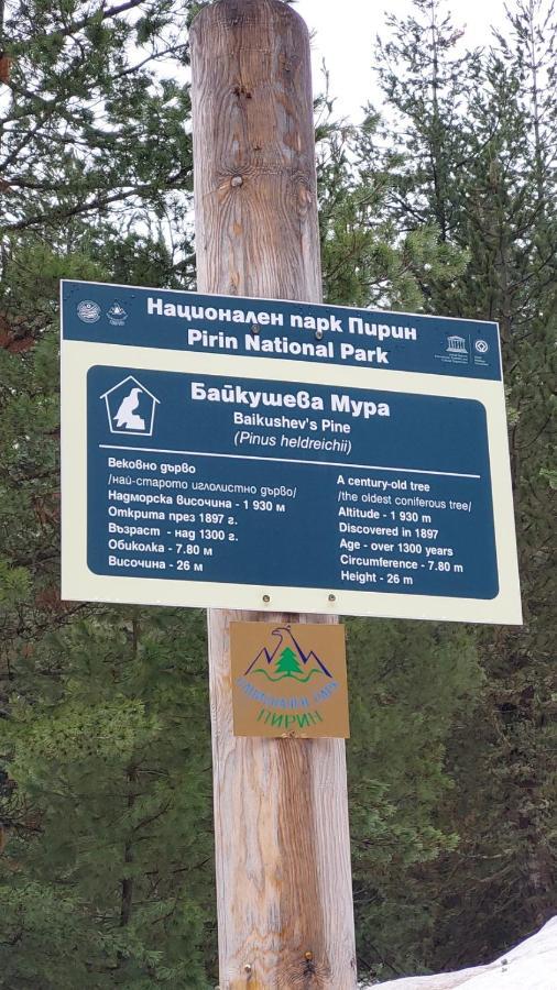 500М. От Лифта Сладък Дом В Белведере Спа Комплекс Bansko Exterior photo